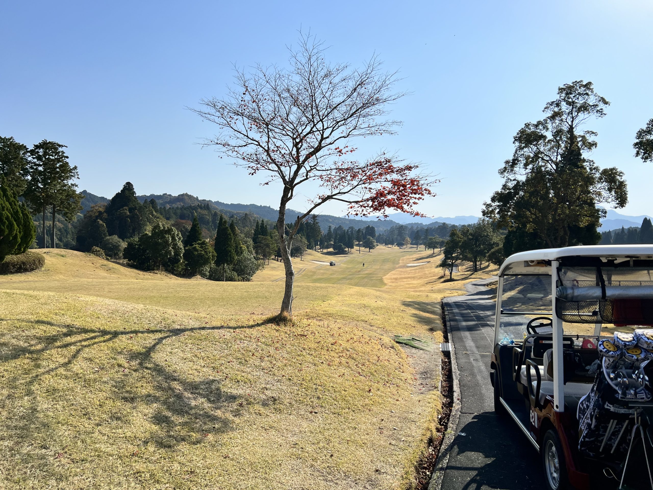 ラウンドー⛳️