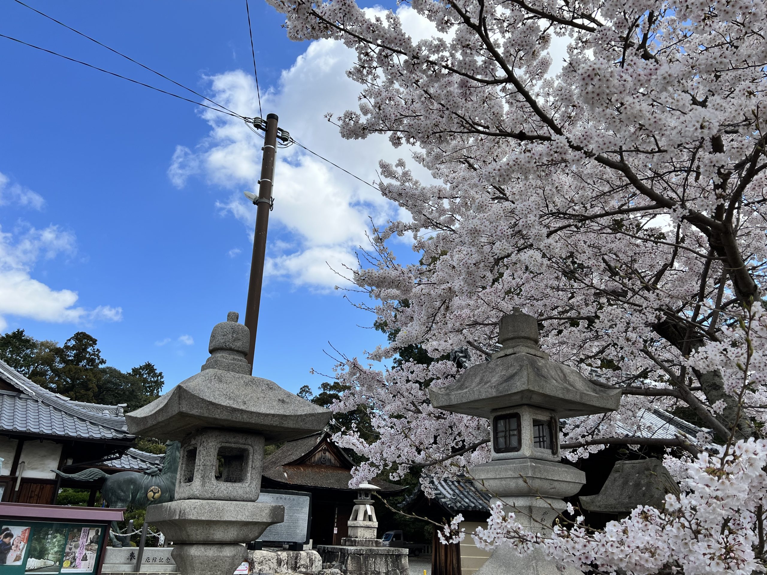 月参り⛩